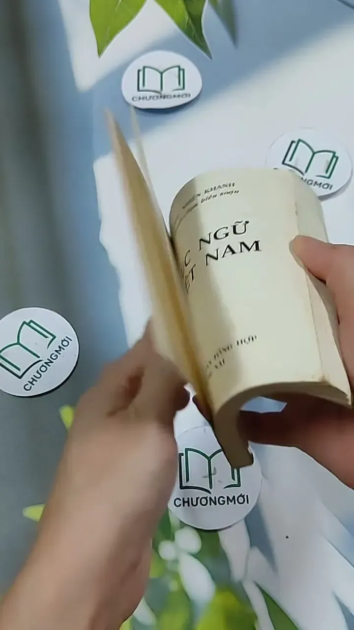 Tục Ngữ Việt Nam 703146