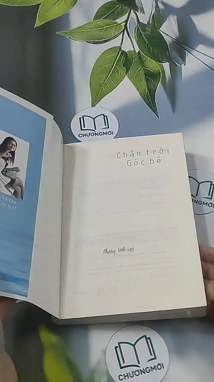 Chân trời góc bể - Diệp Lạc Vô Tâm 694913