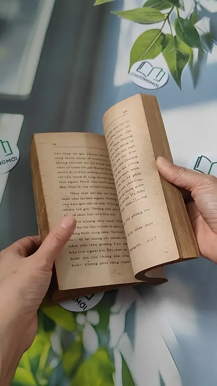 [XƯA] Cánh Bướm (1989) (Cánh Bướm) 776073