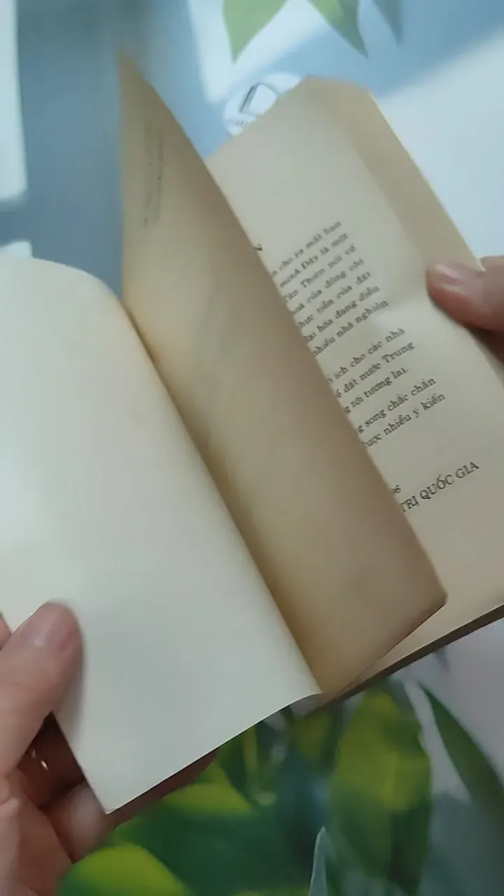 [XƯA] Đi Theo Con Đường Của Chính Mình - Thiết Kế Tổng Thể Về Hiện Đại Hoá Của Trung Quốc (1996) - Du Tân Thiên 787038