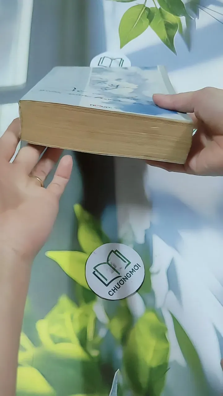 Ai Còn Chờ Ai Giữa Mùa Hoa Nở - Sói Xám Mọc Cánh 744737