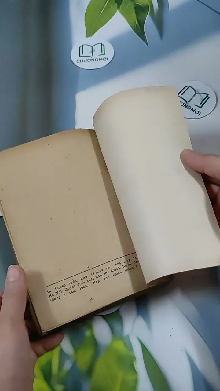 Mười Năm - tập văn chọn lọc 713848