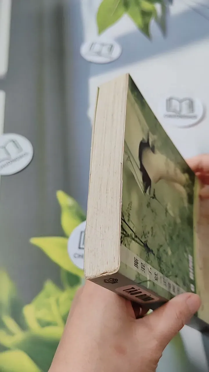 Có Duyên Nhất Định Sẽ Có Phận - Tào Đình 744694