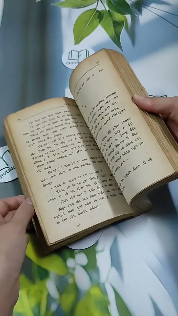 Gài Bẫy - Lynnerickson 713892