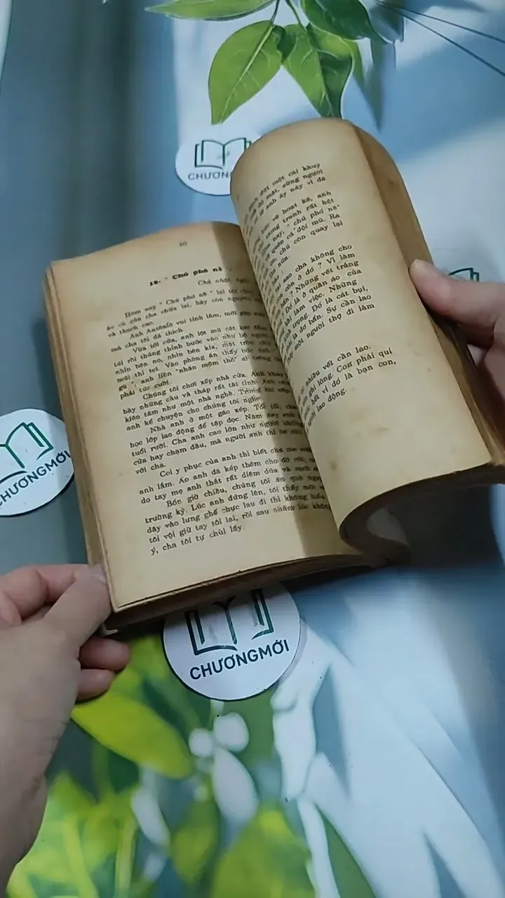 Tâm Hồn Cao Thượng (1989) 713894