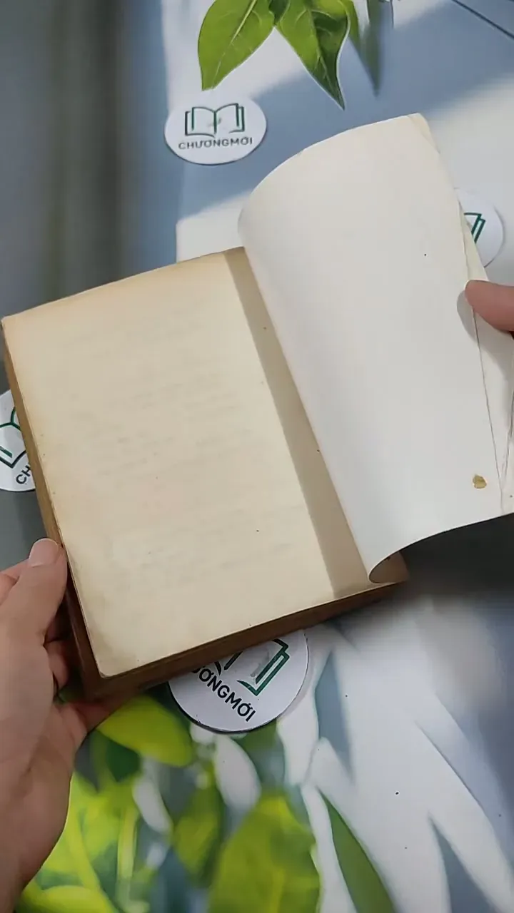 Những Mối Tình Đan Xen - Vũ Đình Bình - Phạm Sông Hồng 713835