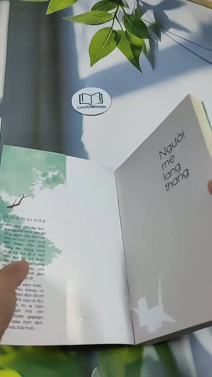 Người Mẹ Lang Thang - Hika Harada 705688