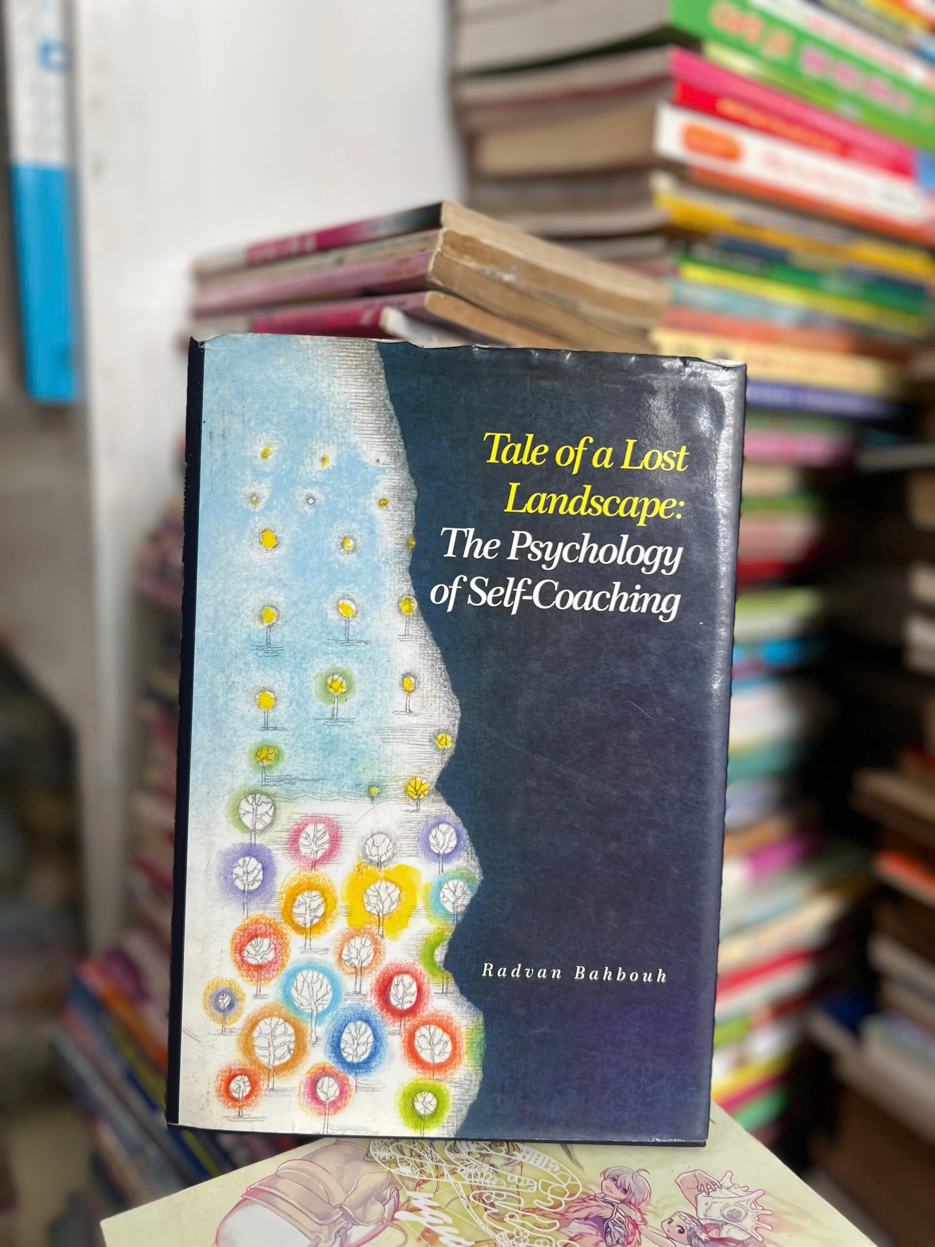 Tale of a Lost Landscape by  - Sách Book Cover - Ngọc Hiển Books