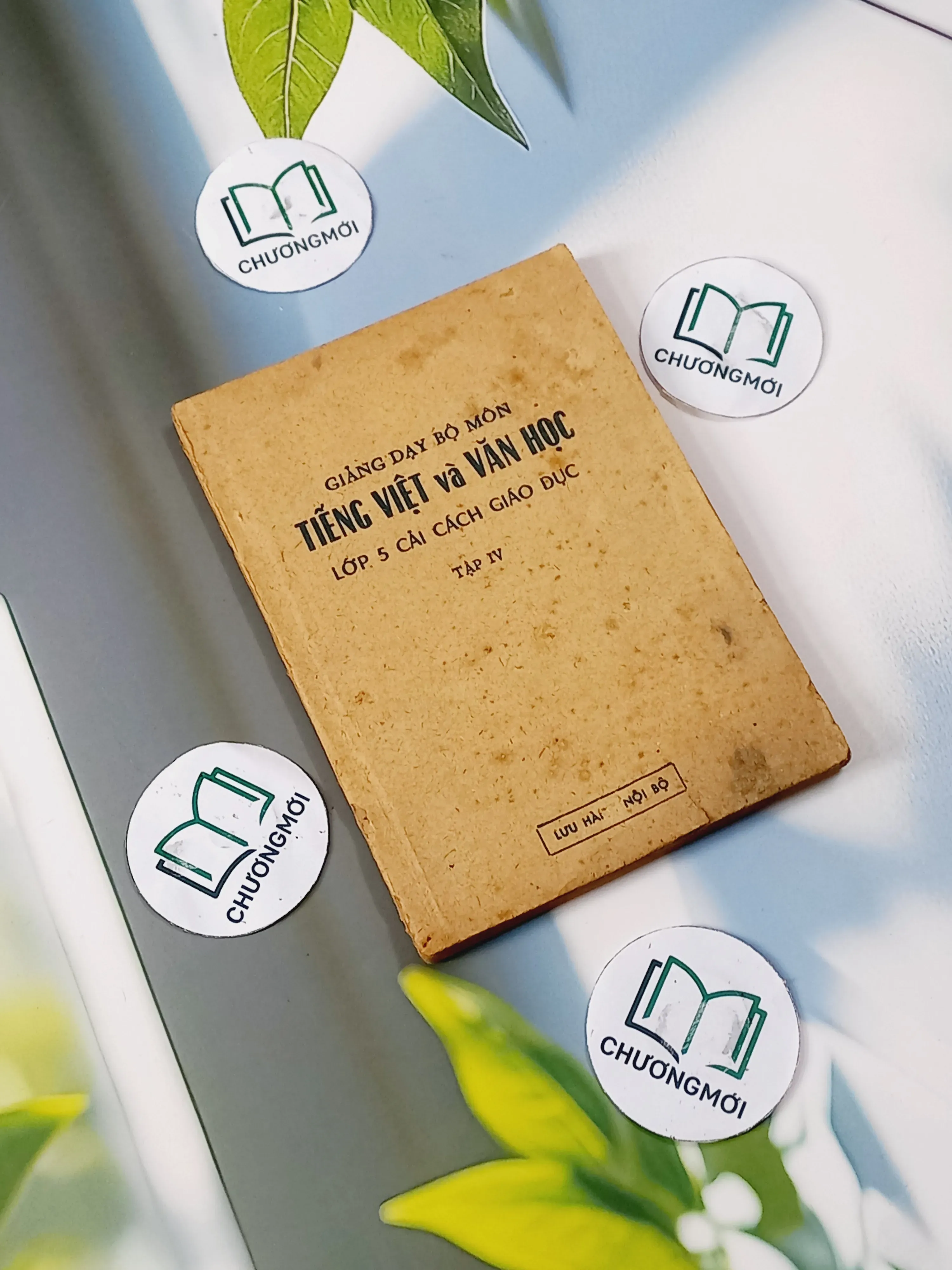 Giảng dạy bộ môn Tiếng Việt và Văn Học lớp 5 cải cách giáo dục (tập 4) - Đặng Mạnh Thường