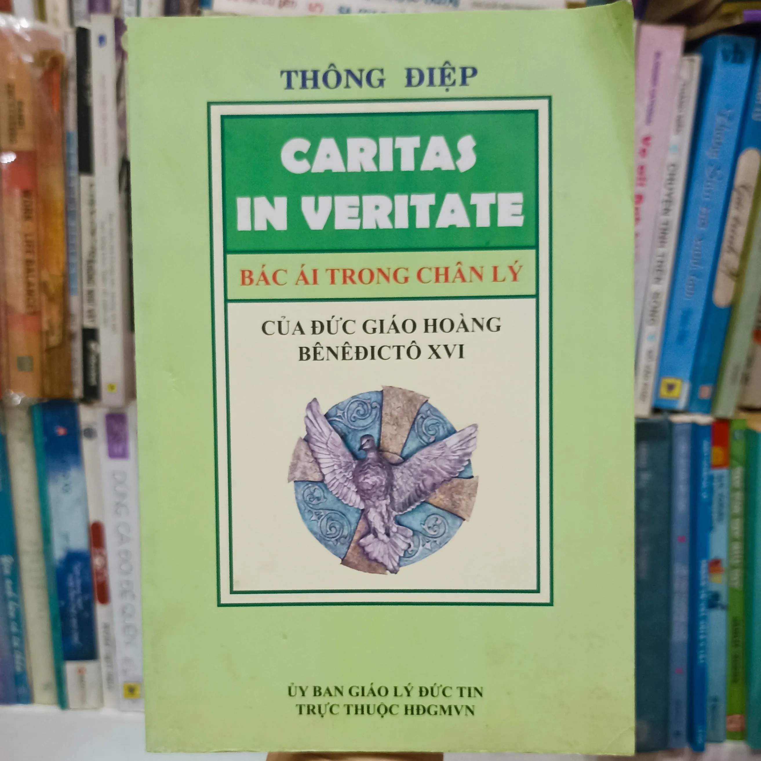 Thông điệp Caritas In Veritate bác ái trong chân lý - ĐGH Bênêđictô XVI 🌻 by Đức Giáo Hoàng Bênêđictô XVI - Sách Book Cover - Ngọc Hiển Books
