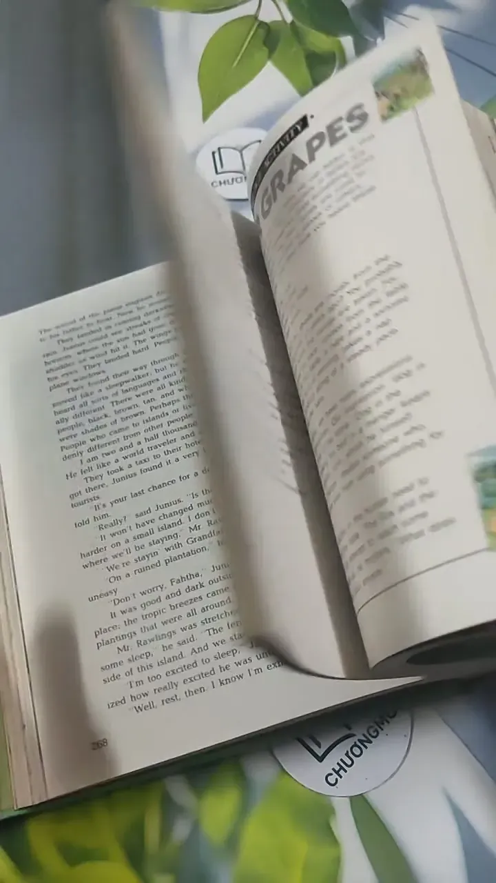 [MIỄN PHÍ BỌC SÁCH] Connections:  Doorways - Level 14  715651