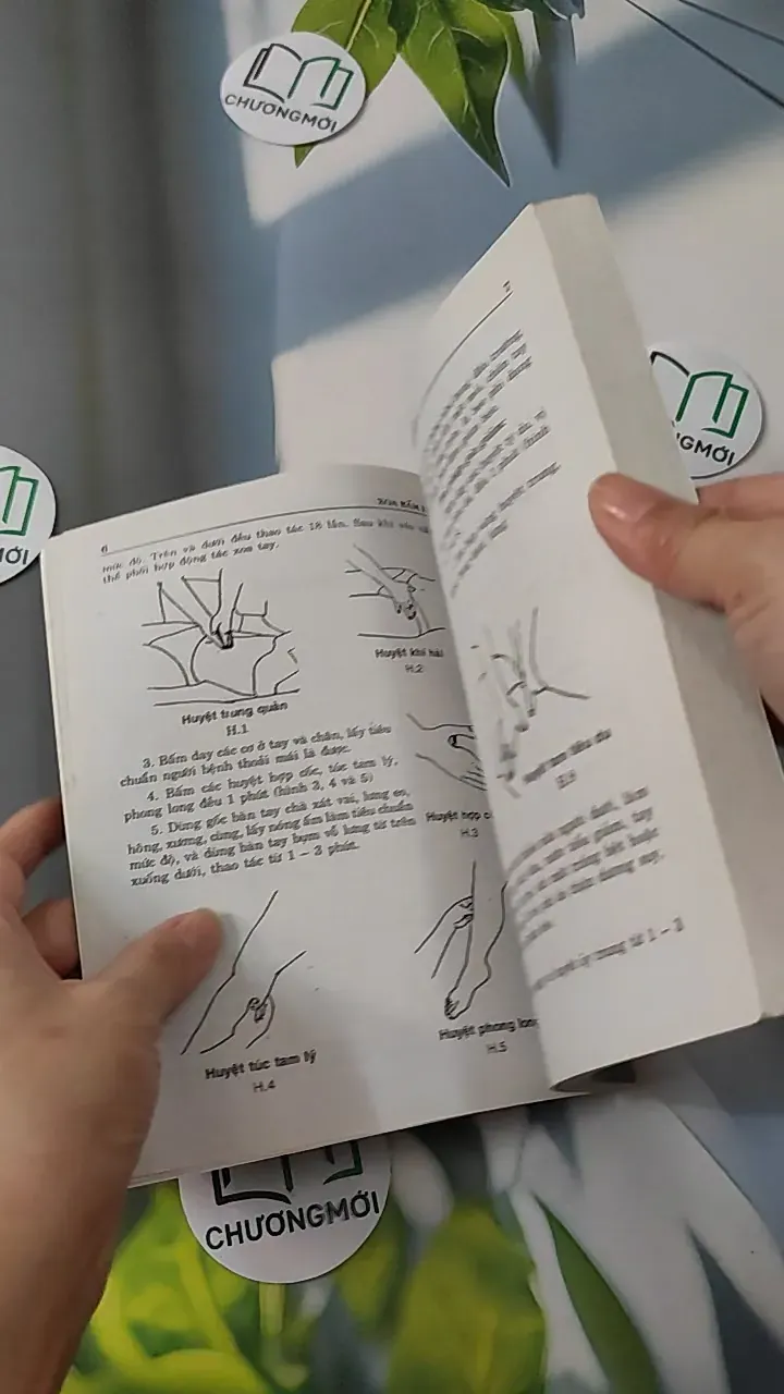 Xoa - Bấm Huyệt - Kỷ Anh & Định Công Bảy 780808