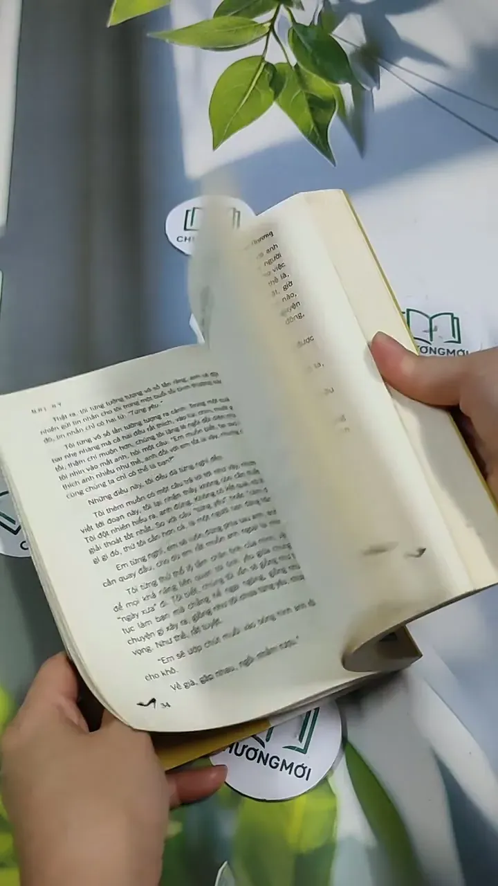 Biết Cách Tỏa Hương, Để Được Người Thương - Nhị Hy 705736