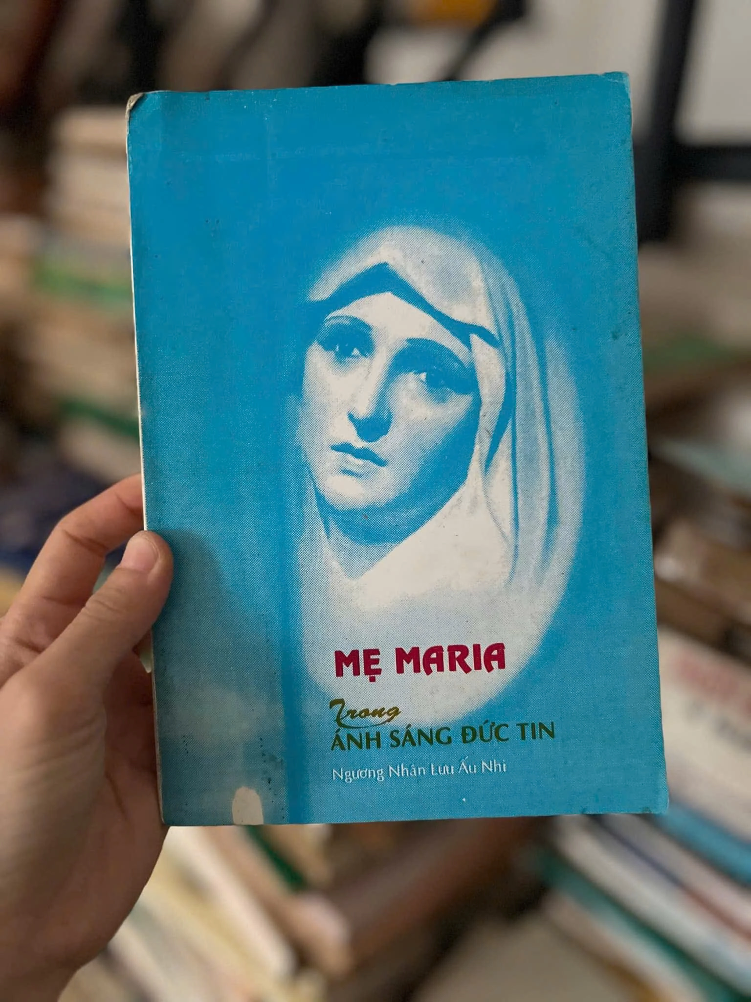 Mẹ Maria trong ánh sáng đức tin by Ngưỡng Nhân Lưu Ấu Nhi - Sách Book Cover - Ngọc Hiển Books