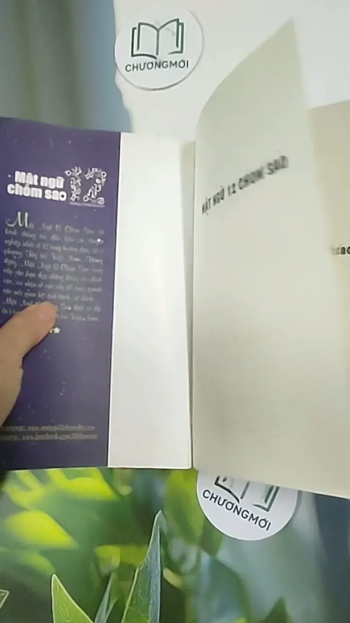 Mật Ngữ 12 Chòm Sao 705637