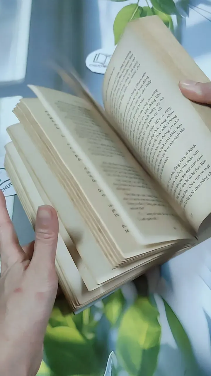 Ai Còn Chờ Ai Giữa Mùa Hoa Nở - Sói Xám Mọc Cánh 744737