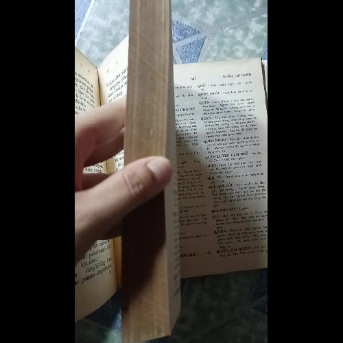 Từ điển An Nam - Lusitan - Latinh