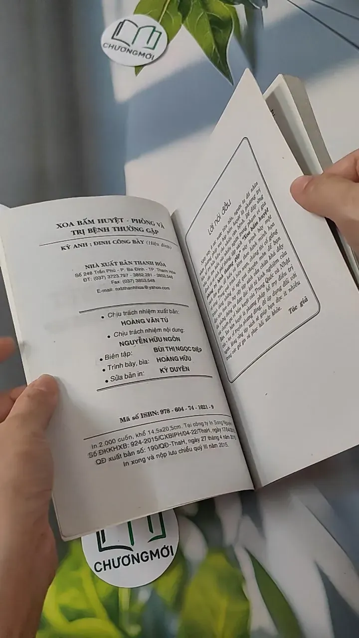 Xoa - Bấm Huyệt - Kỷ Anh & Định Công Bảy 780808