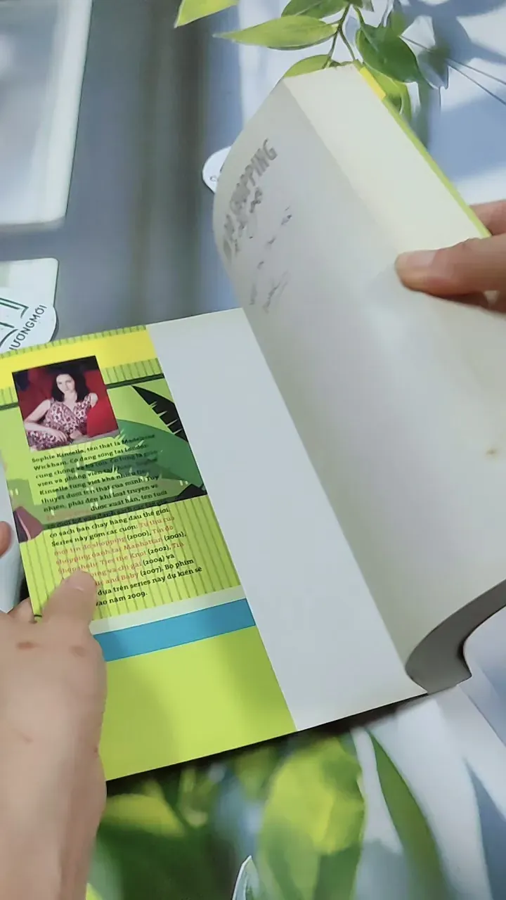 Tín Đồ Shopping Và Chị Gái - Sophie Kinsella 744775