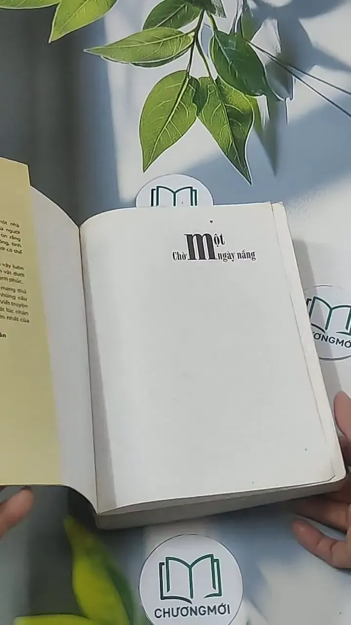 Chờ một ngày nắng - Điệp Chi Linh 694938