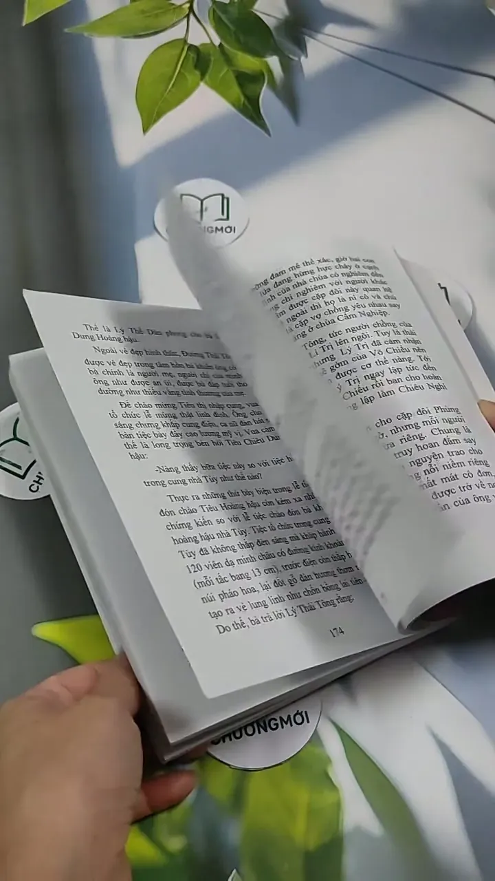 Vua Mèo - Đỗ Tuyết 707332