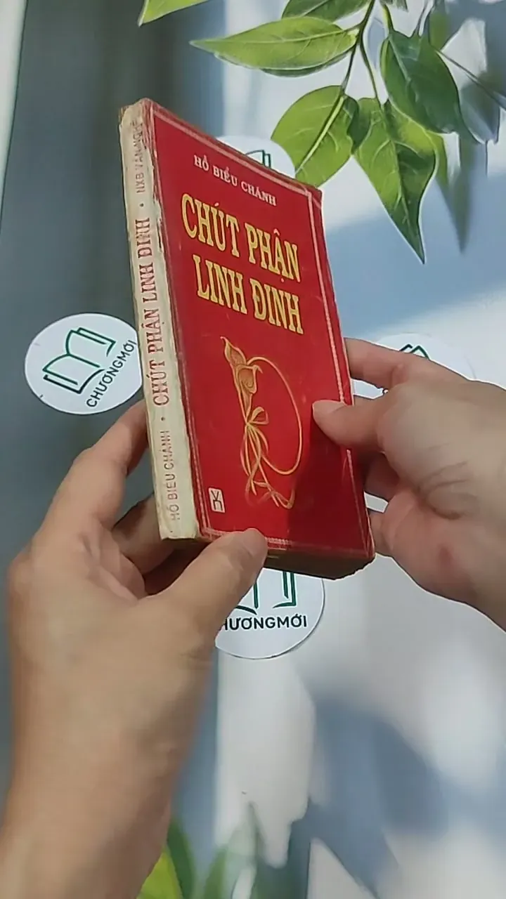 Chút Phận Linh Đinh (1996) - Hồ Biểu Chánh 674979