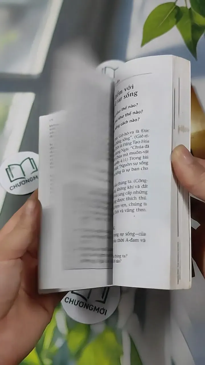 Combo: Kinh Thánh Thật Sự Dạy Gì, Đạo Yêu Thương 727295