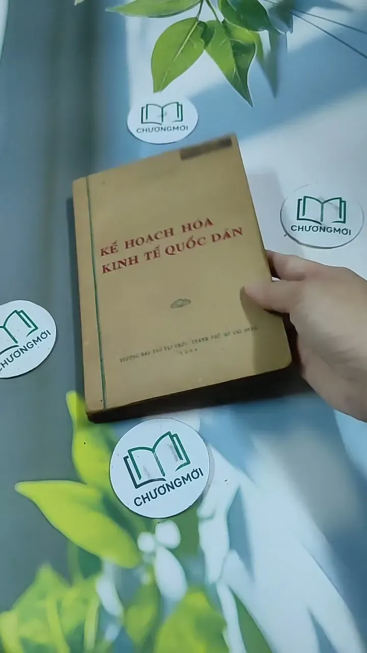Kế Hoạch Hóa Kinh Tế Quốc Dân - Du Lô Giang 713884