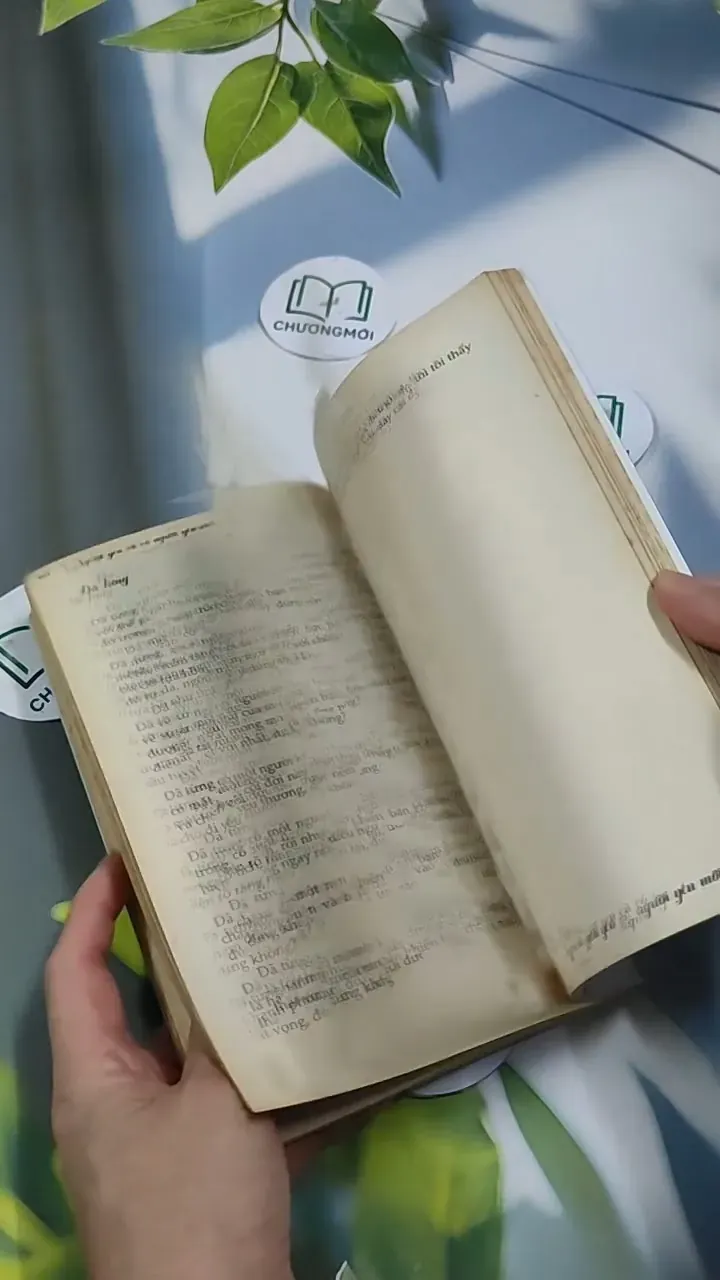 Người Yêu Cũ Có Người Yêu Mới - Iris Cao 707319