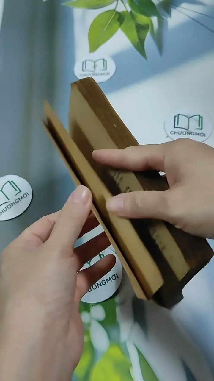 Kế Hoạch Hóa Kinh Tế Quốc Dân - Du Lô Giang 713884