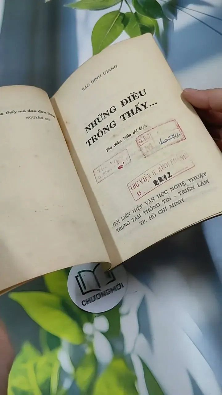 Những Điều Trông Thấy - Thơ  - Bảo Định Giang 713888