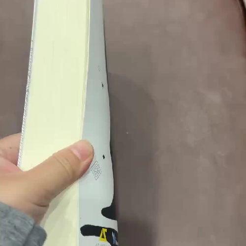 Thiên Tài Bên Trái, Kẻ Điên Bên Phải – Cao Minh- K2