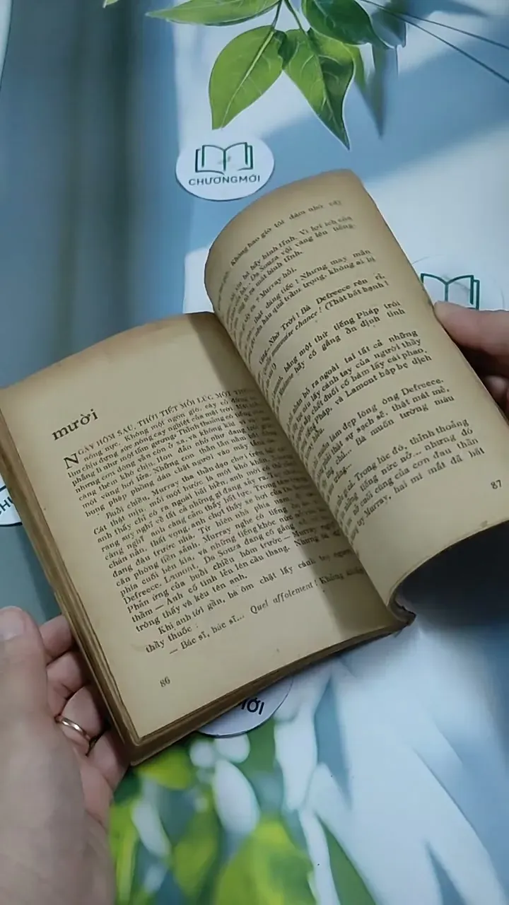 Khách Lạ Ở Thiên Đường - A.J. Cronin 713878