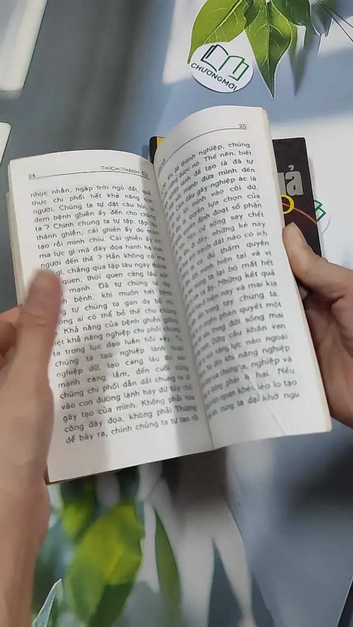 Combo: Nhân Quả Báo Ứng, Luân Hồi 776166