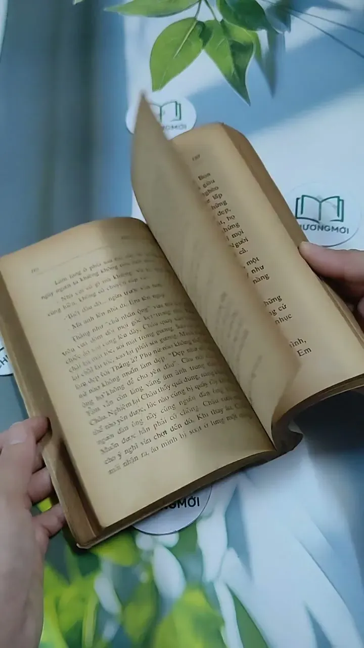 Đời Em Như Áng Mây - Dương Trữ La 713863