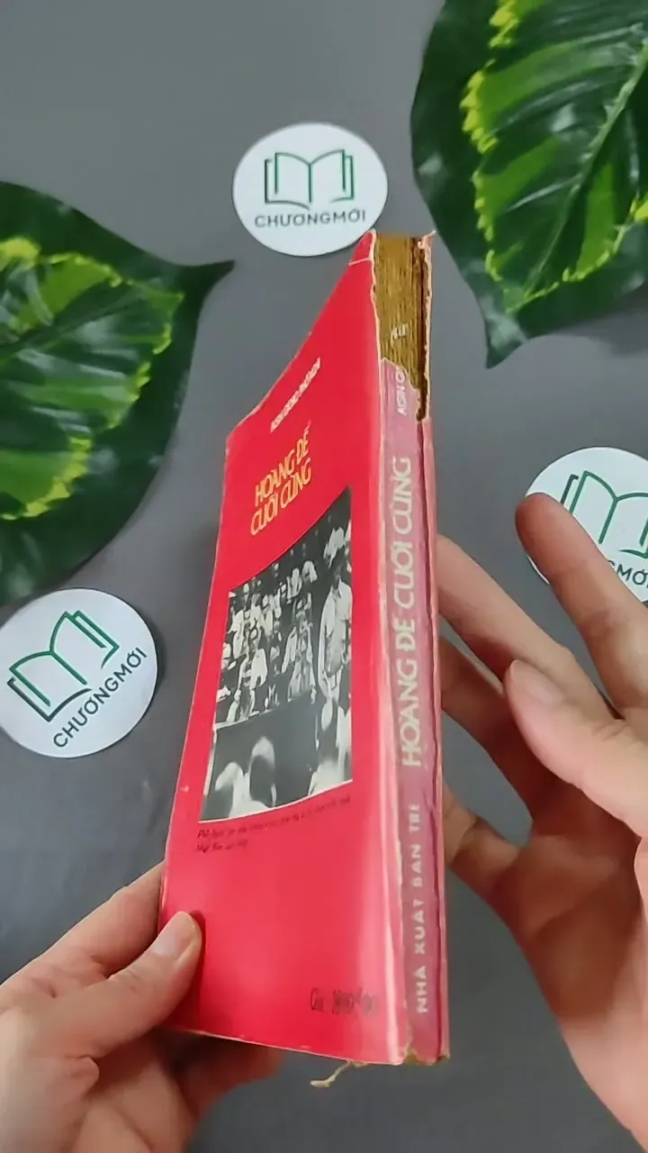 Hoàng Đế Cuối Cùng (1989) - Phổ Nghi 604644