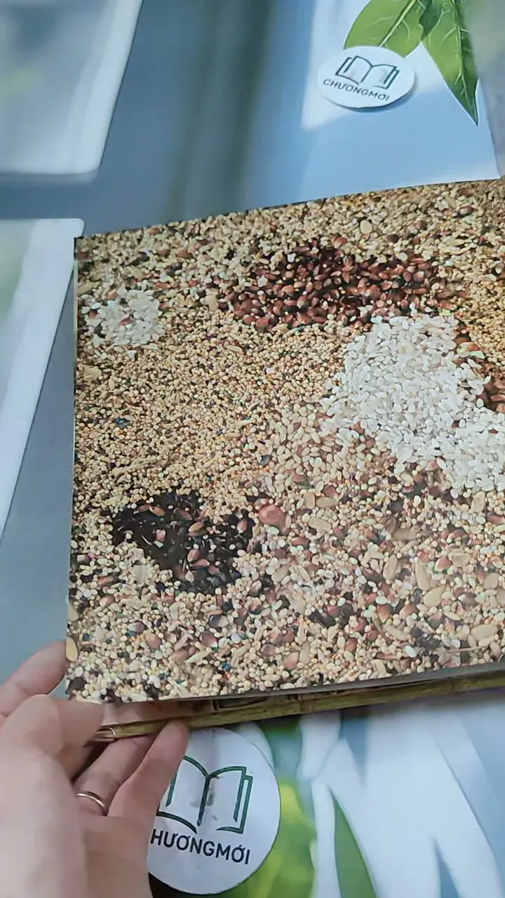 [Tặng nẹp góc] Truyện thiếu nhi Hàn Quốc: Moyamo Anu 56 -  모야모 아누와: 카멜레온에게 혼쭐난 아난시 732060