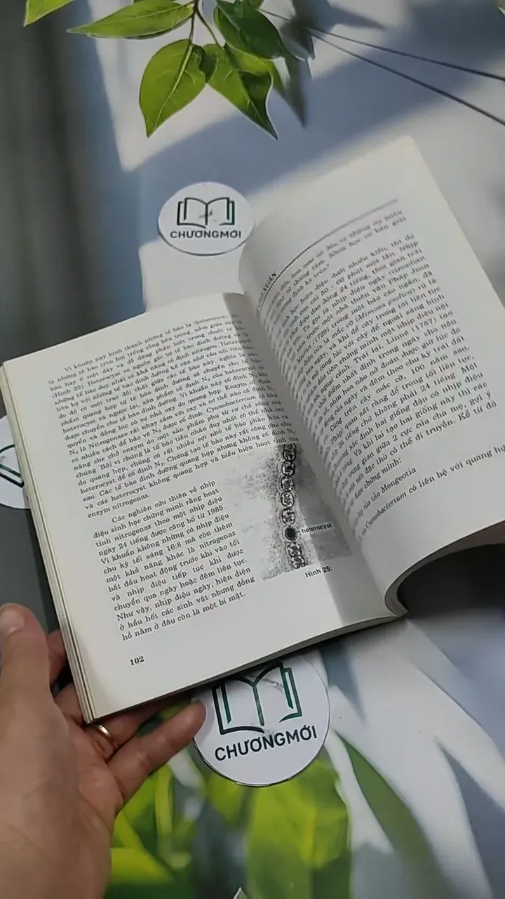 Những Hiện Tượng Kỳ Thú Trong Đời Sống Cây Cảnh - Mai Trần Ngọc Tiếng 707328