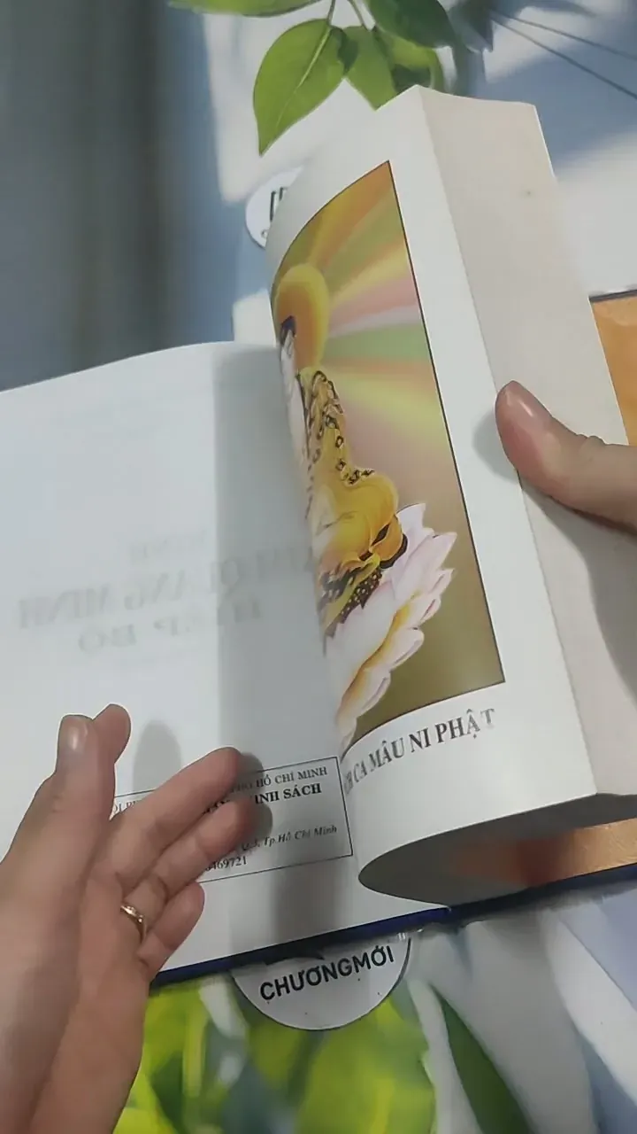 Kinh Kim Quang Minh - Ni Trưởng Như Ấn 715615