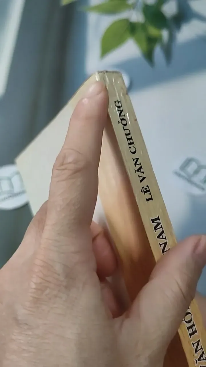 Cơ Sở Văn Hóa Việt Nam - Lê Văn Chưởng 727231