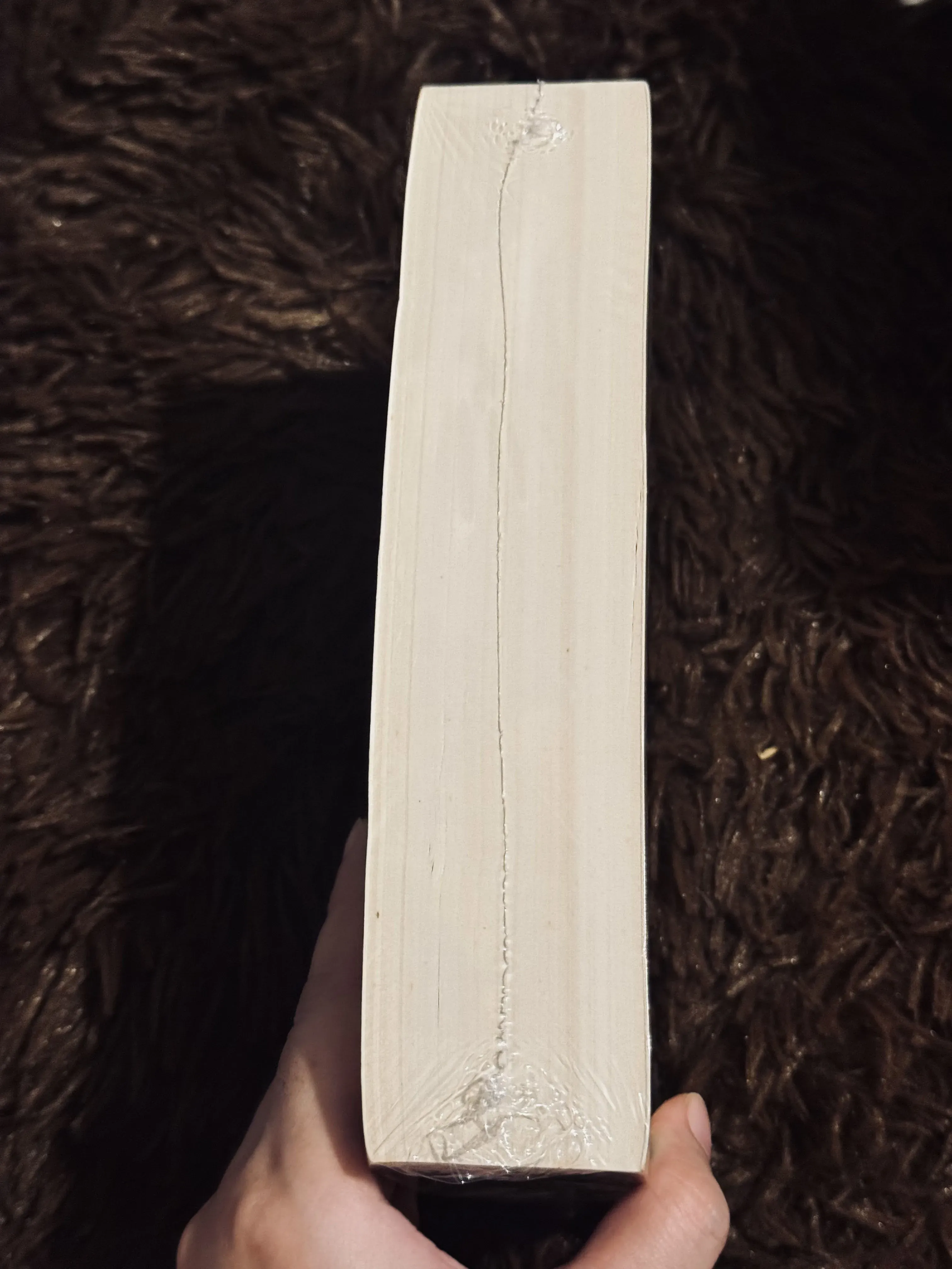 The Idiot - F. Dostoevsky (seal)  746740