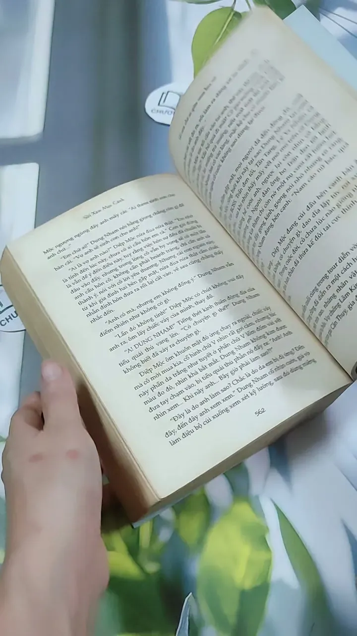 Ai Còn Chờ Ai Giữa Mùa Hoa Nở - Sói Xám Mọc Cánh 744737