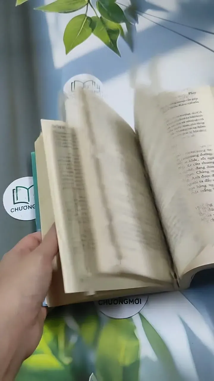 Ploy - Phía Sau Một Cô Gái - Ploy 707236