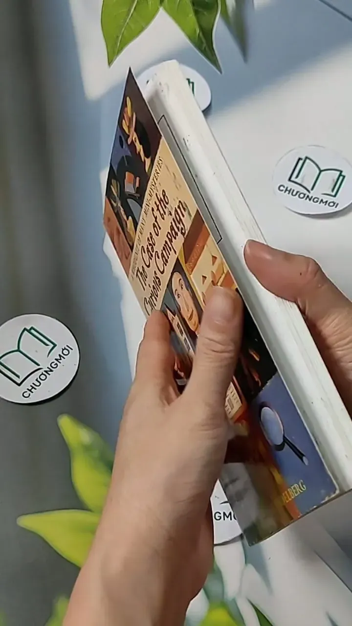 The Case of the Curious Campaign - Robert Mendelberg 703072