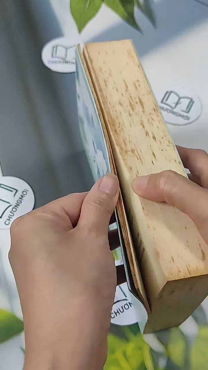 Ai Còn Chờ Ai Giữa Mùa Hoa Nở - Sói Xám Mọc Cánh 705627