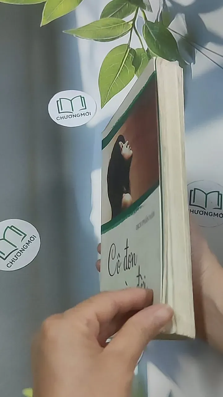 Cô đơn vào đời - Dịch Phấn Hàn 688643