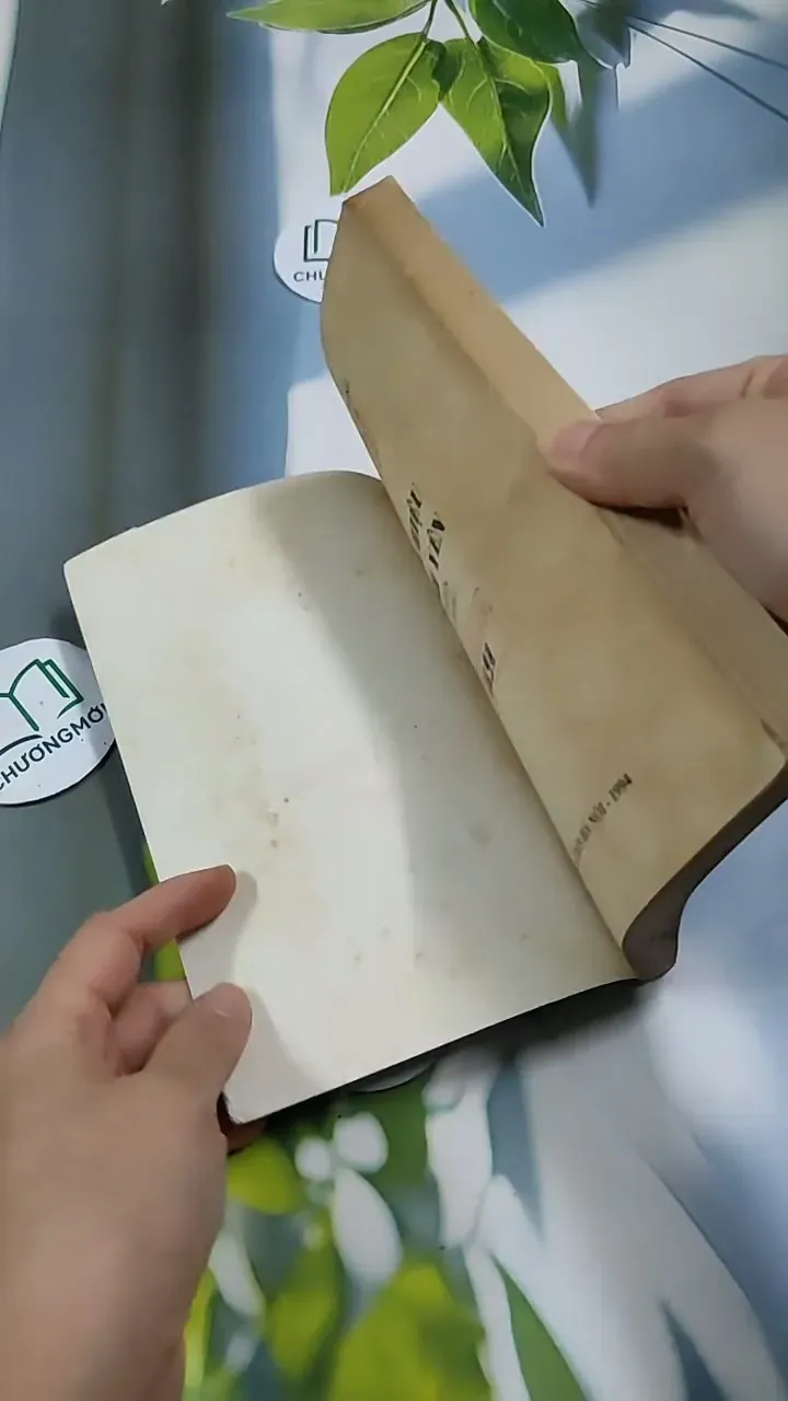 Tín Hiệu Bình yên - Nguyễn Hữu Tòng 713896