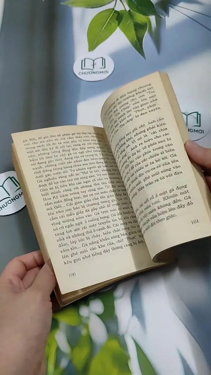 Tín Hiệu Bình yên - Nguyễn Hữu Tòng 713896