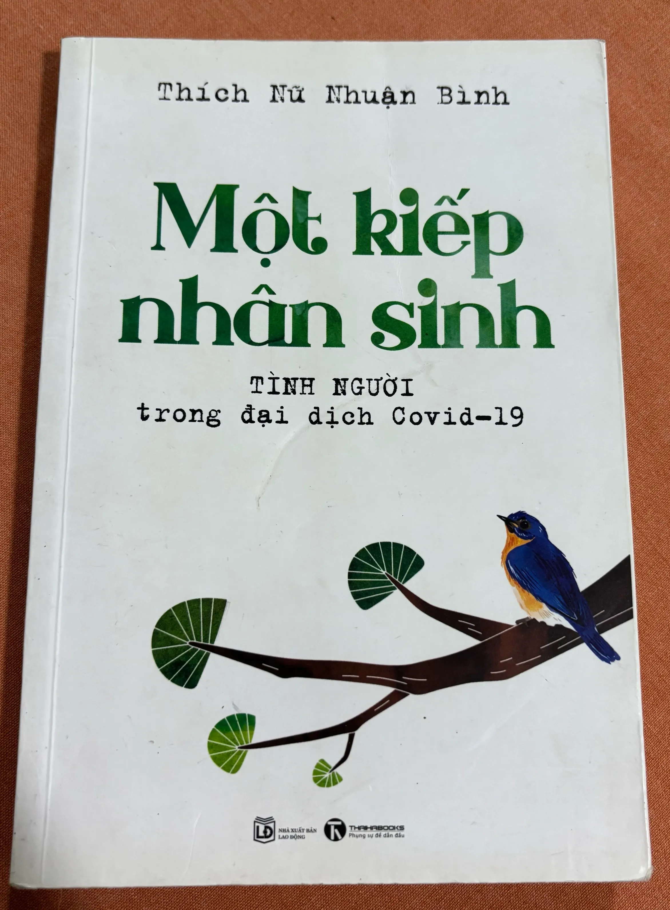 Một kiếp nhân sinh 🌊 by  - Sách Book Cover - Ngọc Hiển Books