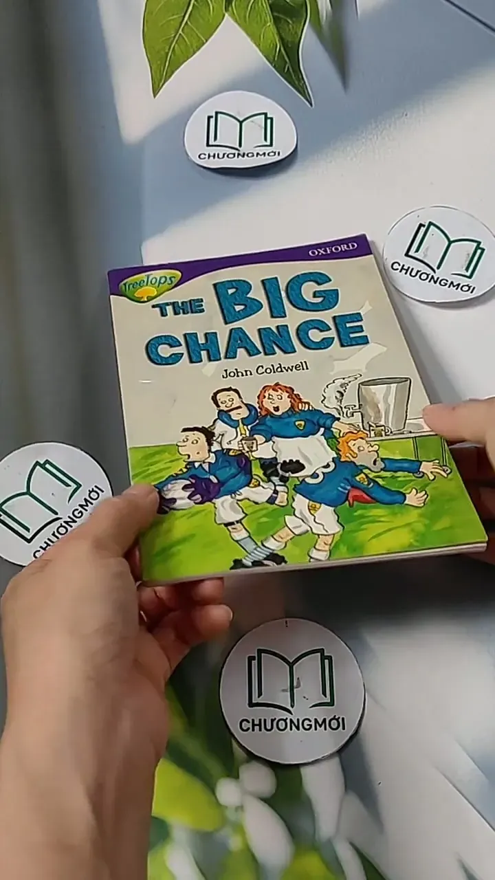 Oxford Reading Tree - Stage 11: TreeTops More Stories A: The Big Chance 703070